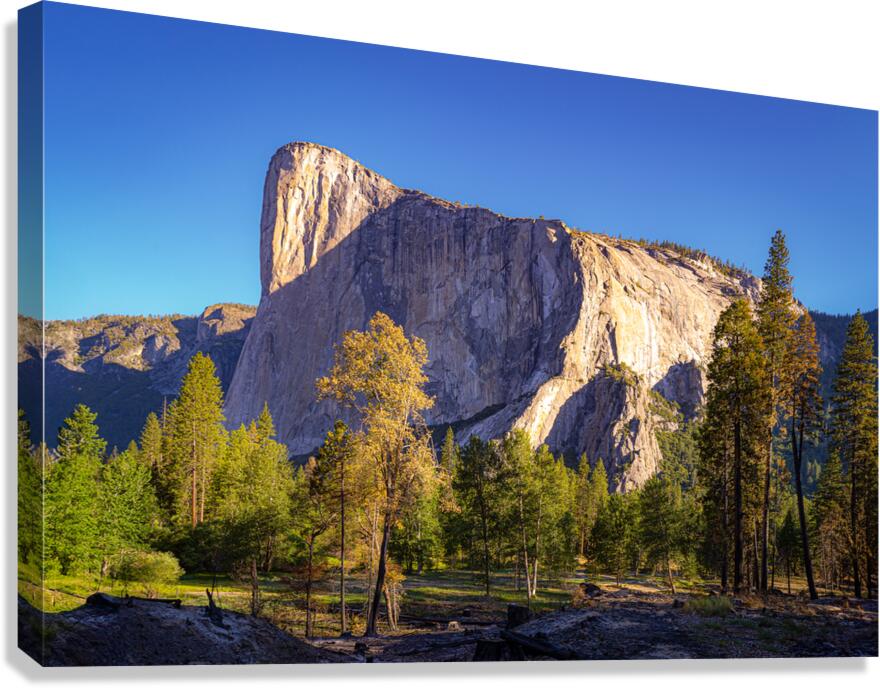 Big Stone Canvas Print