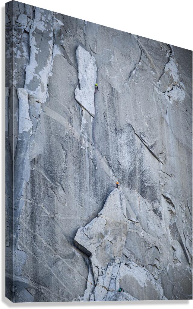 Boot Flake Canvas Print