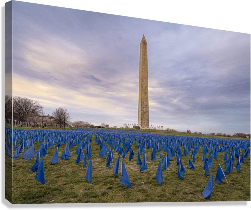 Flag DIsplay Canvas Print