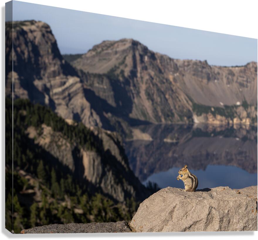 Crater Chipmunk Canvas Print
