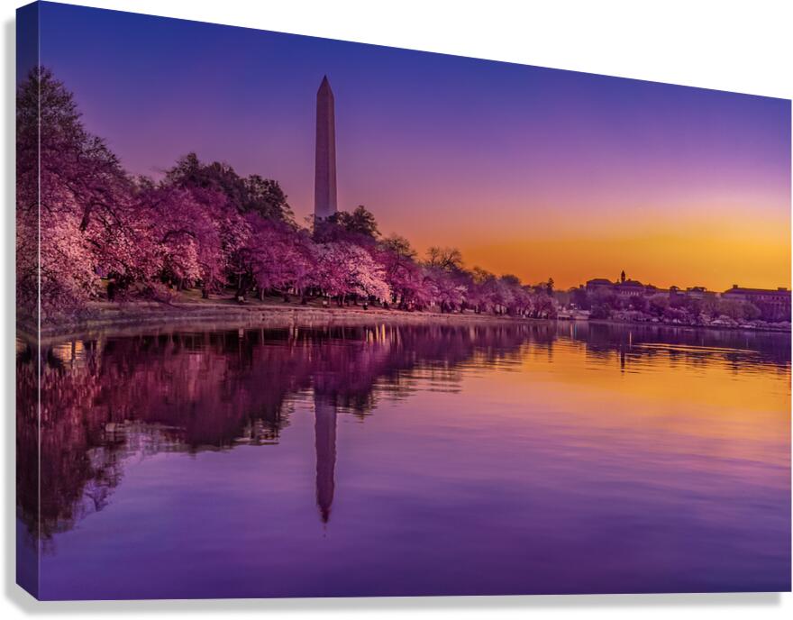 Tide Pool Colors Canvas Print