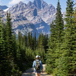 Bow Summit Lookout Hike