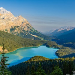 Peyto Lake View