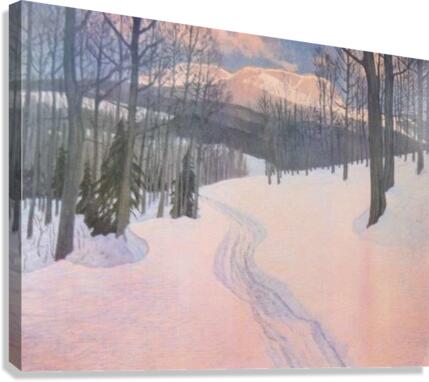 Snow landscape Canvas Print