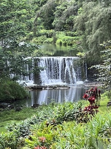Comforting Waterfall