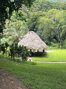Hut