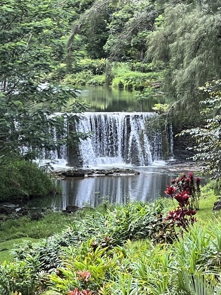 Comforting Waterfall Print