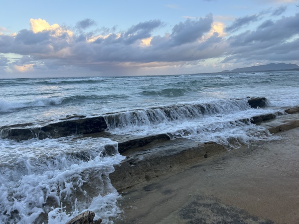 Ocean Beauty Print