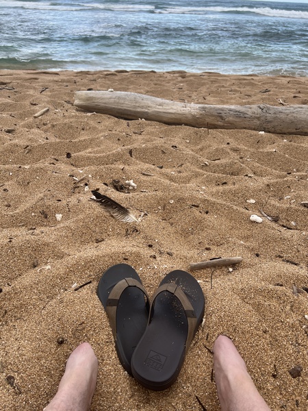 Who needs feet   by B Austin