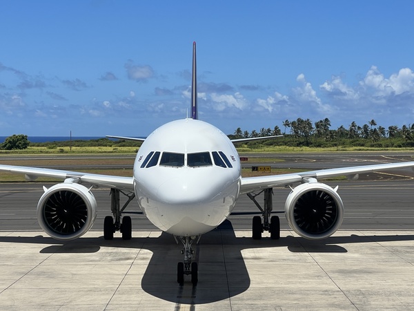Plane Beauty Print