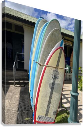 Need A Board Canvas Print