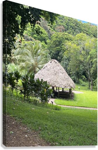 Hut Canvas Print