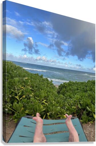 Hanging Ten Canvas Print