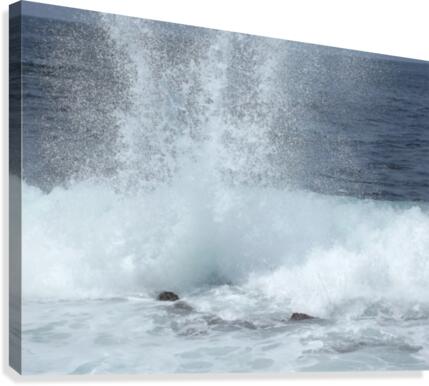 Sea Spray Canvas Print