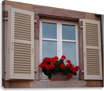 Window red flower Canvas Print