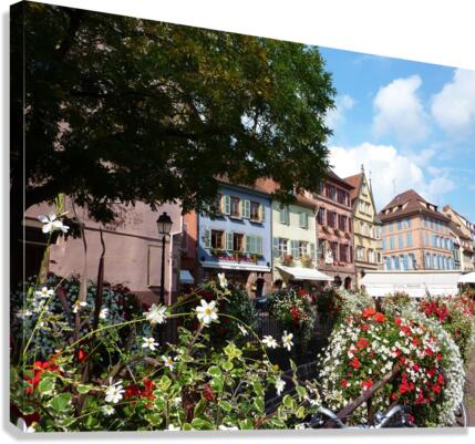 Colmar Flower Canvas Print