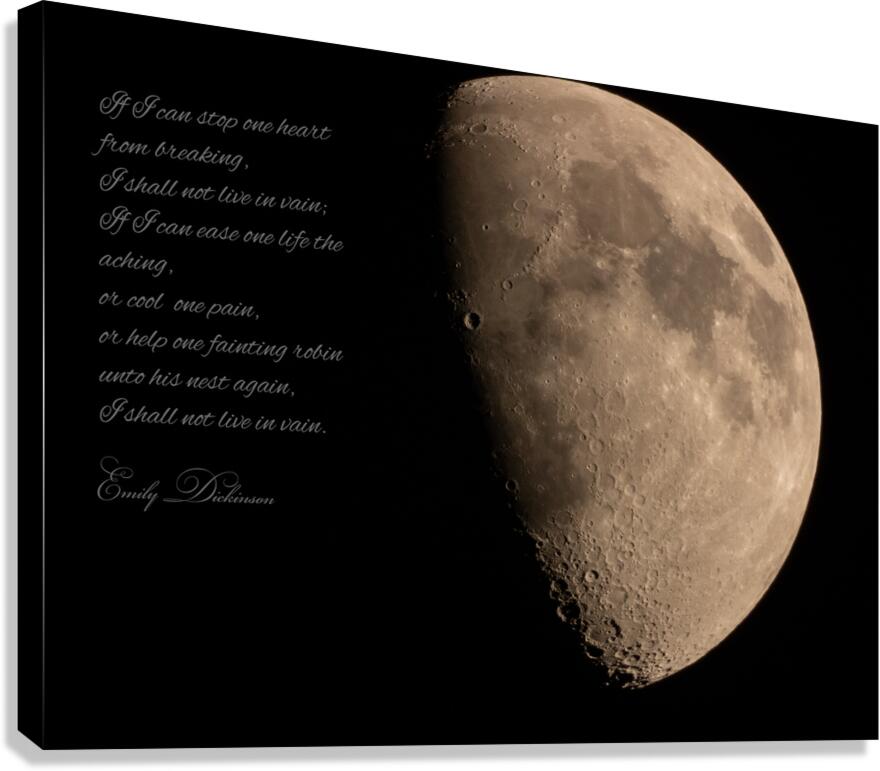 Moon Canvas Print