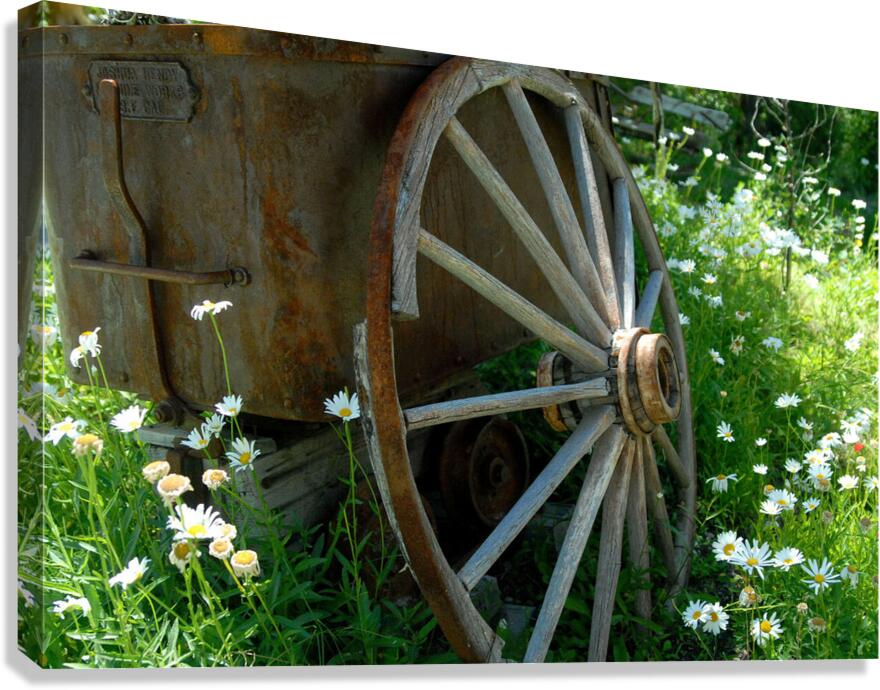 Wagon Wheel Canvas Print