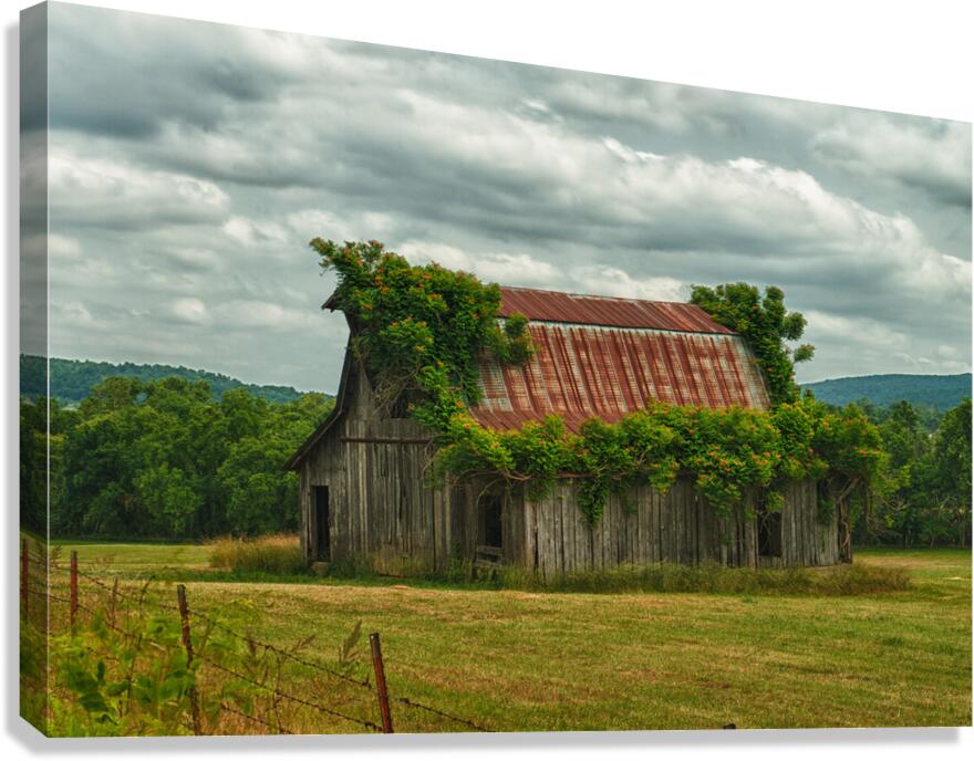 barn painted Canvas Print