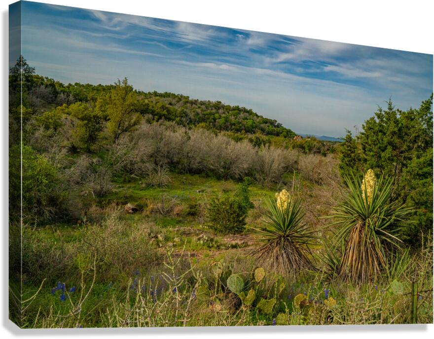 Central Texas Canvas Print