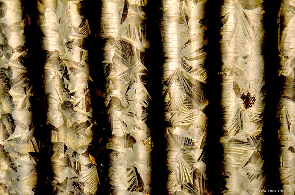 Metal Bambu IV by Croz