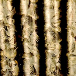 Metal Bambu IV