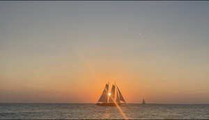 41788307 E96B 40D9 BDE8 7D2EAB4305DA