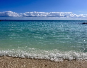 F0C9E6E8 0B30 4E70 8163 C7F8B86E9153