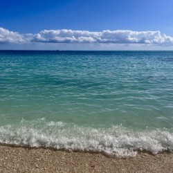 F0C9E6E8 0B30 4E70 8163 C7F8B86E9153