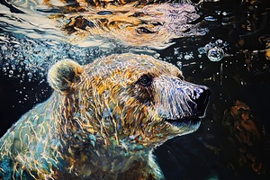 Beneath Arctic Glow H3N9P2 63