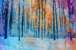 Chromatic Winter Woods Y9K3N2 57