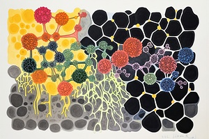 Cellular Connections 7H3N2P 62