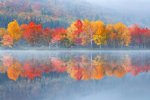 Autumn Reflections H29NJP 45