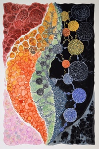 Cellular Echoes 7H9N2P 48