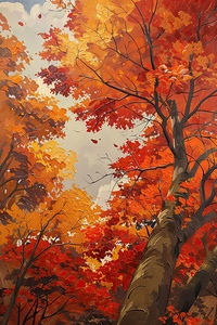 Autumn Glory Ascent J9P2N8 50