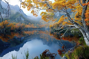 Autumn Reflections H792N5 65