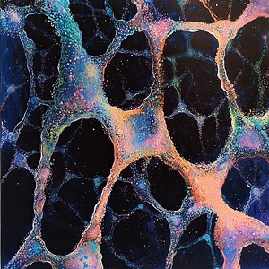 Cosmic Synapse Network H92J5Z 60