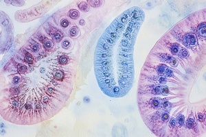 Cellular Harmony N59H7Z 62