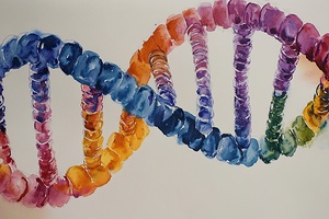 Chromatic Helix Dance 2P9H7N 49