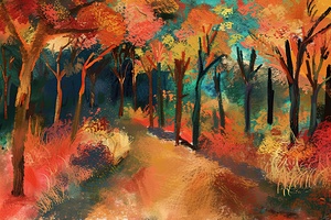 Autumn Forest Path H29NJP 50