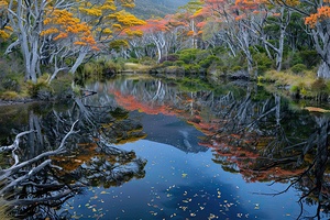 Autumn Reflections NZ 78HNP3 69