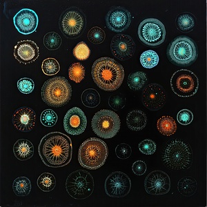 Cosmic Flora Bloom 7P3H2 63