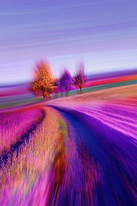 Chromatic Horizon J93H4N 58