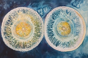 Cellular Echoes Y59H2N 60