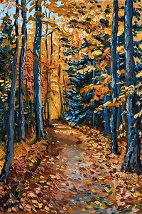 Autumn Forest Path Y59H2N 50