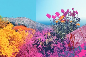 Chromatic Hills Bloom Y92H7N 47
