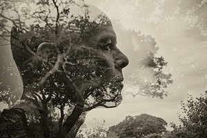 Arboreal Mind 92HNPZ 55