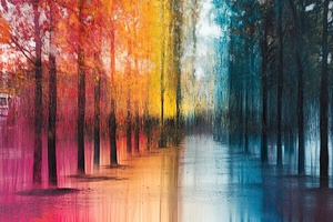 Chromatic Reflections Y59H2N 60