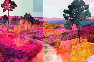 Chromatic Pathways 249PNZ 58 Print