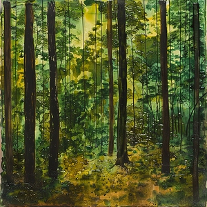 Forest Reverie